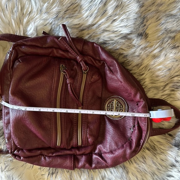 Stone Mountain Accessories Red Backpack with Gold Accents - Picture 4 of 5